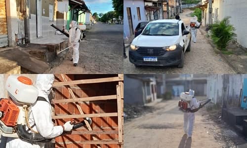 Mutirão Estadual de Combate à Dengue reforça ações em Ibirataia