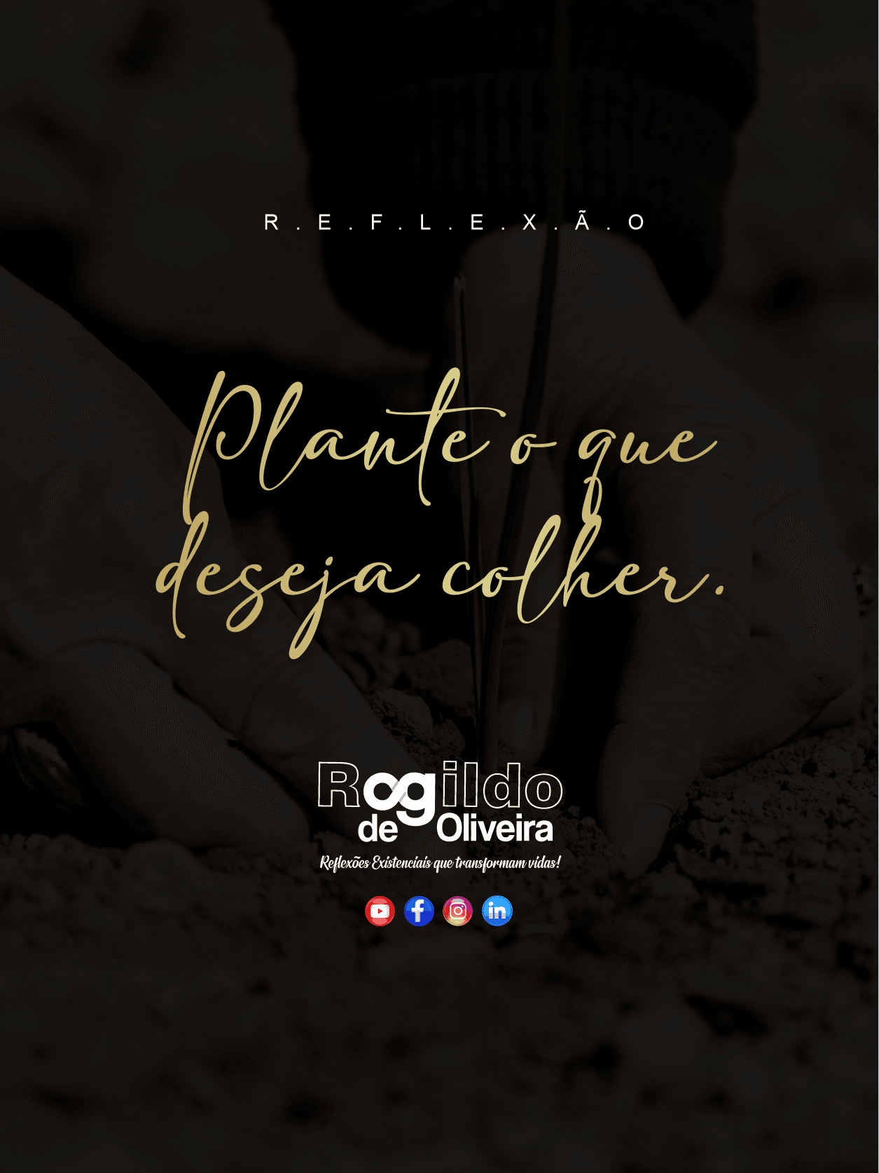 Reflexão: Plante o que deseja colher