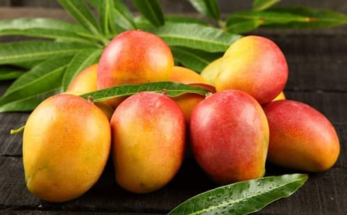 A manga: sabor tropical e benefícios para a saúde