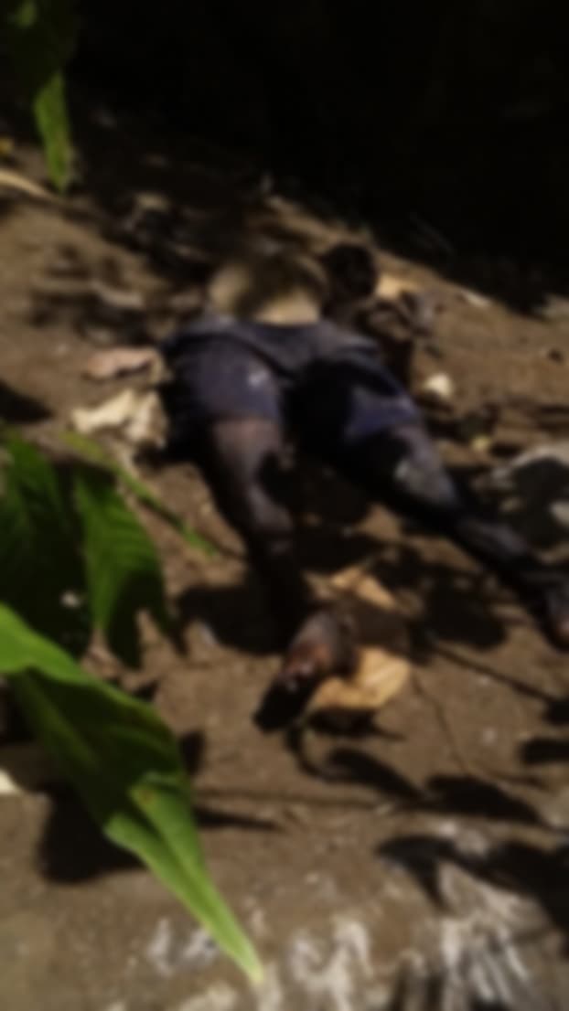 IMAGENS FORTES