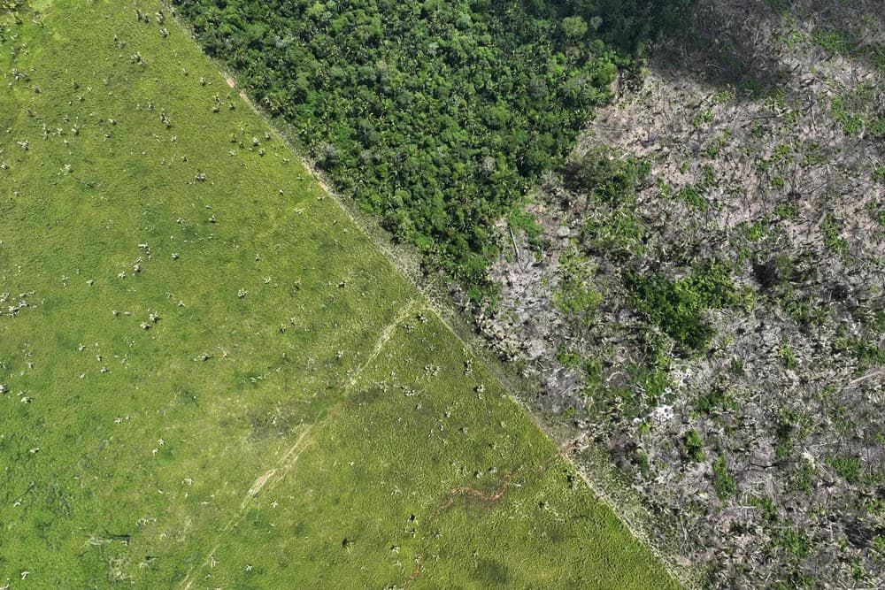 Desmatamento na Amazônia cai 68% em abril e tem 1ª grande queda com Lula