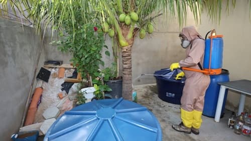 Dengue: Bahia tem 122 municípios em epidemia da doença