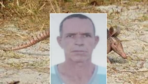 Homem é encontrado morto após cair em buraco para caçar tatu
