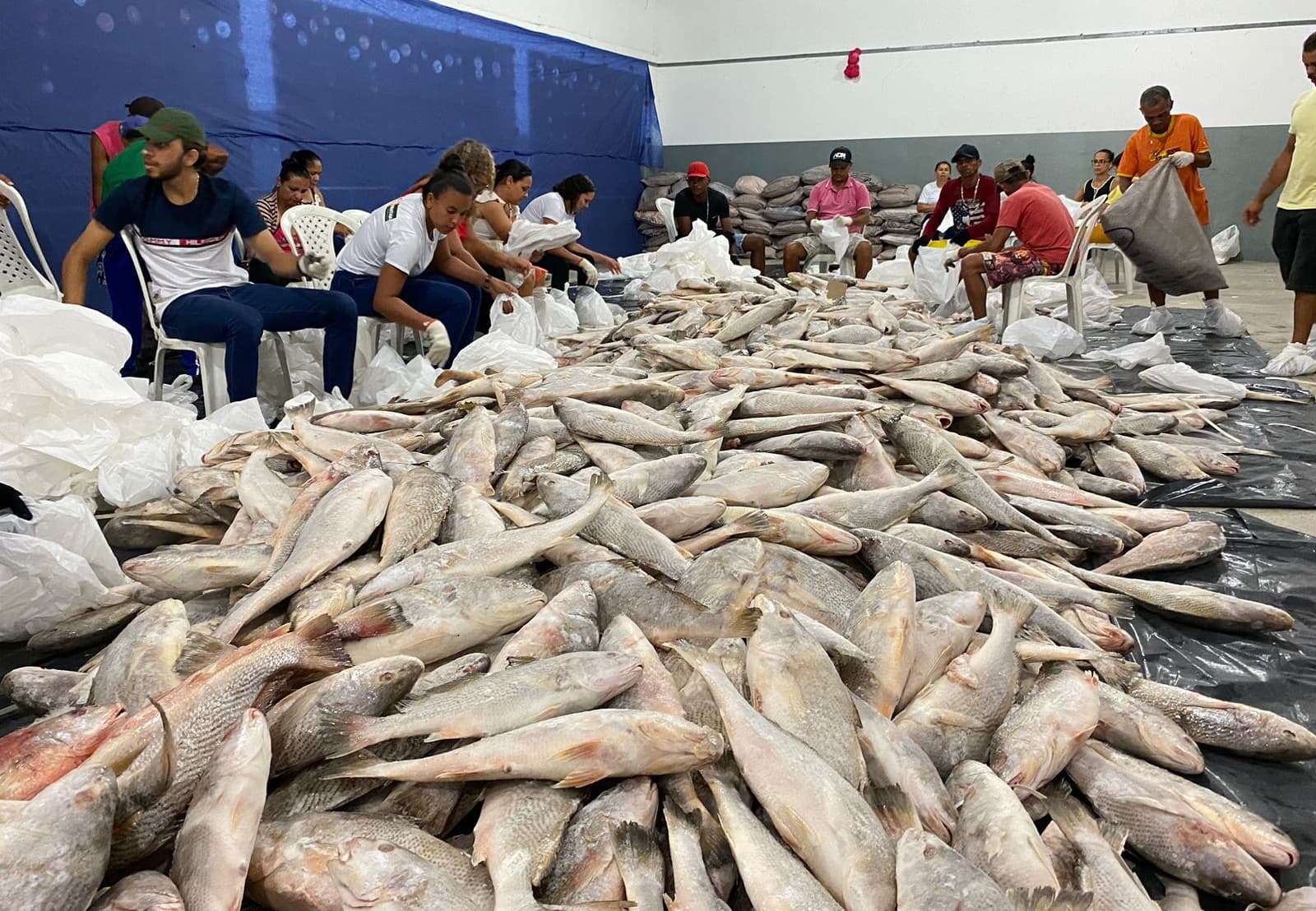 Ibirataia: Prefeitura entrega mais de 10 toneladas de peixe para comemoração da páscoa