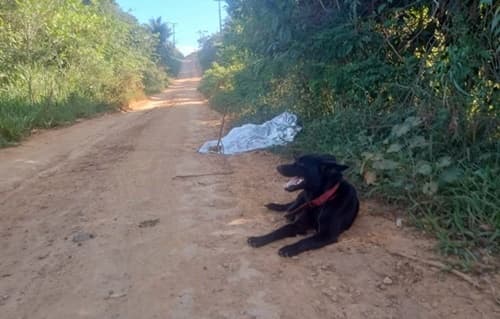 Homem é morto a tiros em estrada na zona rural de Ubatã