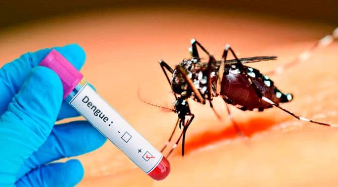 Casos de dengue aumentam, sete mil casos foram registrados em 2023