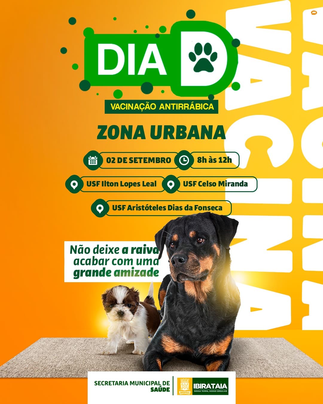 "Dia D da Vacinação Antirrábica em Ibirataia: Protegendo Nossos Amiguinhos de Quatro Patas!"