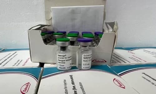 Casos prováveis de dengue têm aumento de quase 100% na Bahia