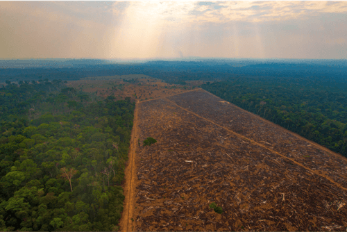 Desmatamento na Amazônia em 2023 é o menor registrado desde 2018, diz Imazon