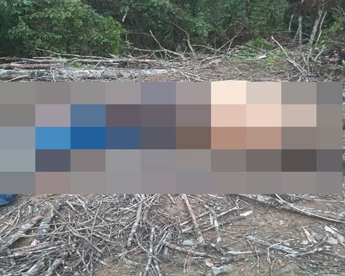 Homem e cavalo morrem eletrocutados em Taperoá