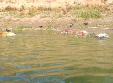 Com aumento de mortes, Índia tem corpos no Ganges; governo orienta sobre despejo