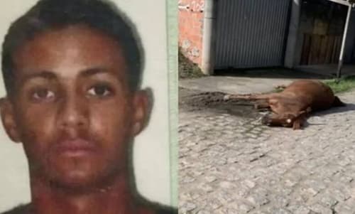 Jovem é morto a tiros enquanto andava a cavalo; animal também morreu