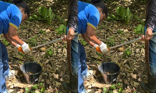 Ibirataia: Programa ATER tem aproximado cada vez mais a Secretaria de Agricultura do homem do campo no município