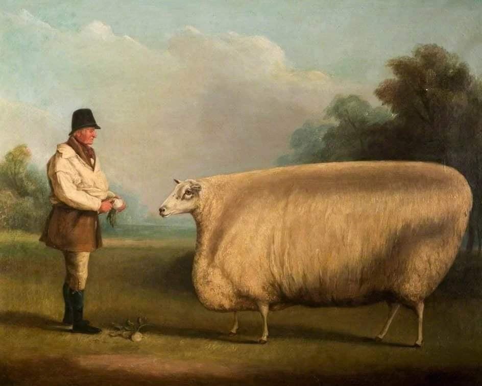 Curiosidades: Símbolos de riqueza