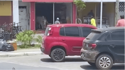 Boi entra em petshop e causa alvoroço em centro de cidade baiana
