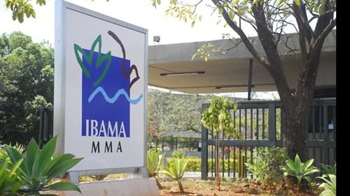 Ministério da Gestão autoriza Concursos para 810 Vagas no Ibama e ICMBio