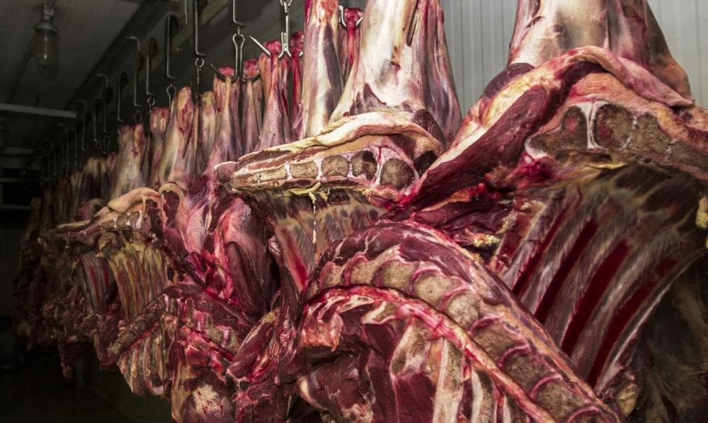 Brumado: inspeção identifica carne com tuberculose