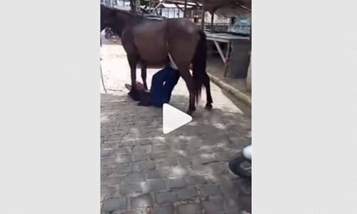 VÍDEO: homem embriagado é flagrado brincando embaixo de um cavalo em Gandu