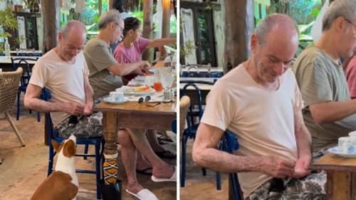 Em Salvador, Ney Matogrosso é filmado alimentando cachorro em restaurante