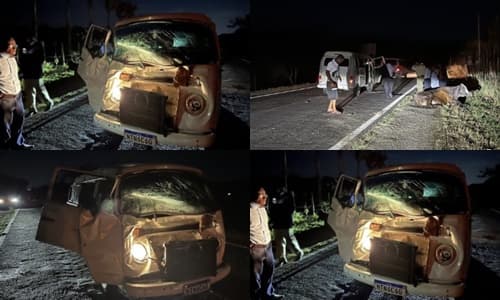 Kombi transportando evangélicos colide com vaca na BR-330 em Ipiaú