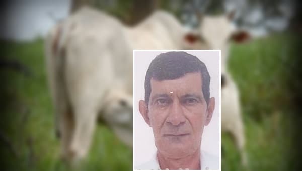 Homem morre vítima de ataque de vaca parida em Teixeira de Freitas