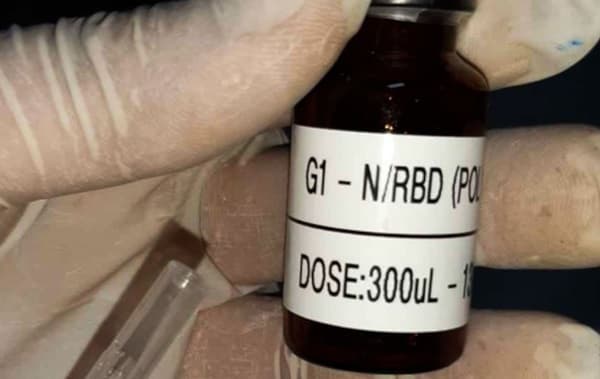 Vacina brasileira contra Covid-19 começa a ser testada em voluntários