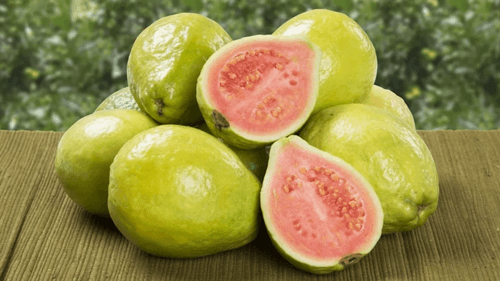 Goiaba: fruta tropical que conquista pelo sabor e pelos benefícios à saúde