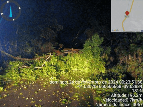 Ibirataia: Temporal derruba árvore que interdita trecho da BA-120