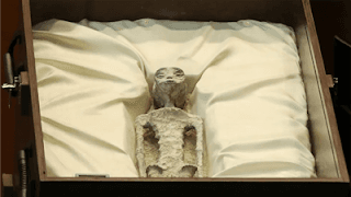 O México se torna o primeiro país do mundo a reconhecer abertamente a existência de seres extraterrestres