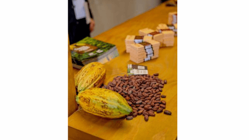 Ilhéus recebe maior evento de cacau e chocolate da América Latina