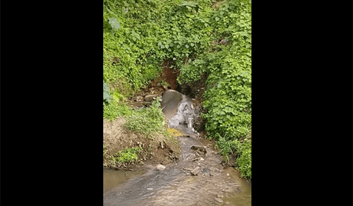 Ibirataia: Morador cobra da EMBASA que faça reparo de vazamento que já dura 5 dias; assista o vídeo