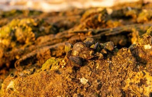 Bahia consolida posição como polo estratégico da mineração de ouro no Brasil