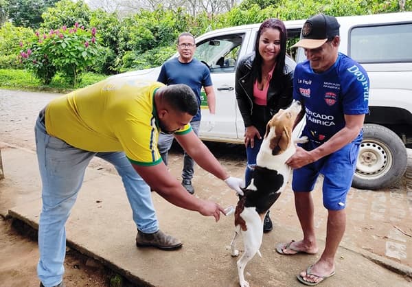 Campanha de Vacinação Antirrábica inicia com sucesso na Zona Rural de Ibirataia