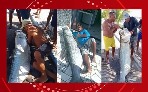 Pescador baiano fisga camurupim de quase 2 metros e 120 quilos: "Uma façanha que exigiu quatro homens na canoa"