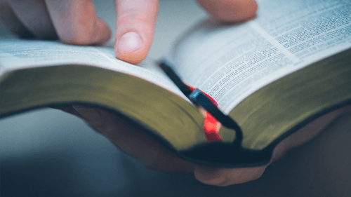 A Bíblia: O Livro Mais Vendido do Mundo – Entenda sua Relevância