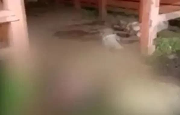 Grupo invade fazenda na Bahia, abate cabeças de gado e foge com carne furtada