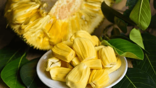 Os Benefícios da jaca para a saúde: Um superalimento tropical