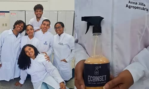 Região: Projeto Ecoinset aposta em solução sustentável e reduz impactos ambientais no cultivo do cacau