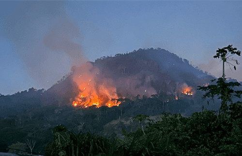 Incêndio de grande proporção atinge área de vegetação em Jitaúna
