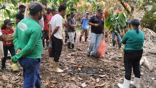 Ibirataia: Curso de Enxertia de Cacau Capacita Agricultores na Zona Rural de Algodão