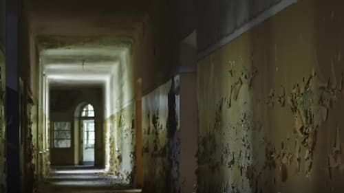 Cemitério de escravizados: escavações em Salvador podem revelar o maior da América Latina