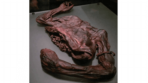 Descoberto tronco humano de 2.000 Anos em pântano Irlandês