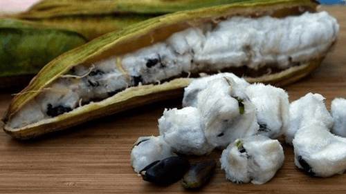 Ingá: A fruta tropical que encanta com seu sabor e benefícios à saúde