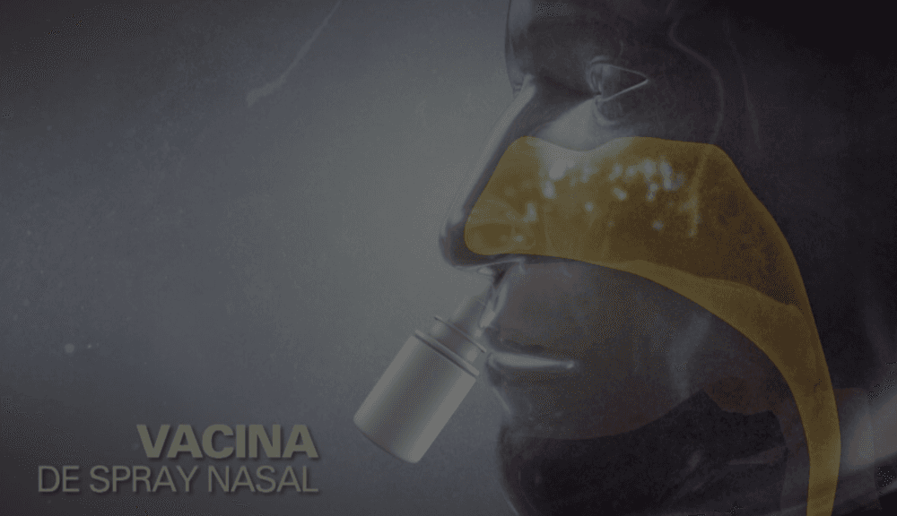 Vacina de spray nasal pode ser o caminho para o fim da pandemia, dizem cientistas