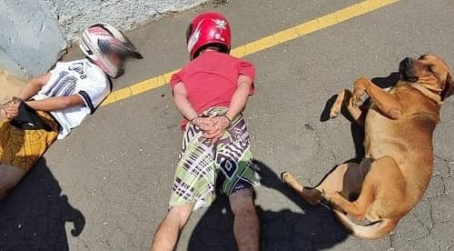 Cão de rua deita ao lado de suspeitos durante abordagem policial e foto viraliza