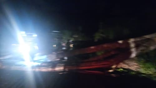 Árvore cai e interdita rodovia entre Ibirataia e Ipiaú; populares acionam SAMU após pedido de socorro