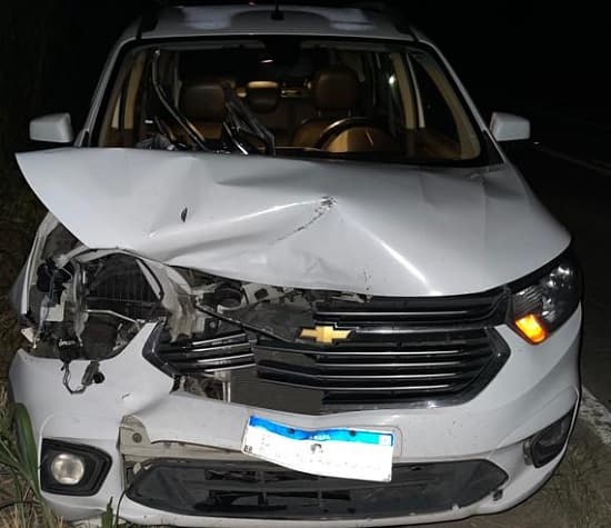 Animal na pista causa acidente na BR-330, entre Ipiaú e Barra do Rocha