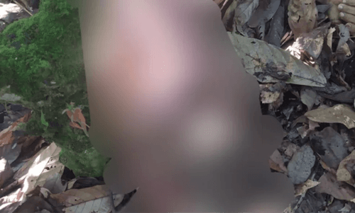 Corpo é encontrado com marcas de tiros e laceração no braço em Pres.Tanc.Neves