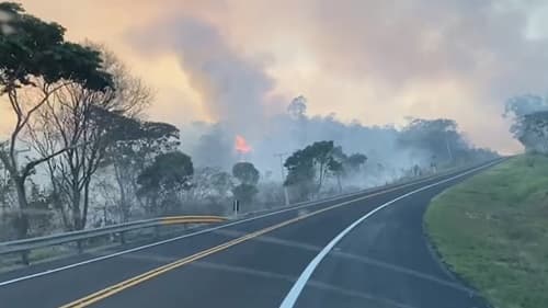 Incêndio florestal de grandes proporções na Bahia