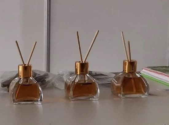 Estudantes baianas desenvolvem aromatizador natural contra muriçocas